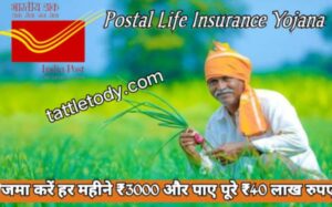 Postal Life Insurance 2025